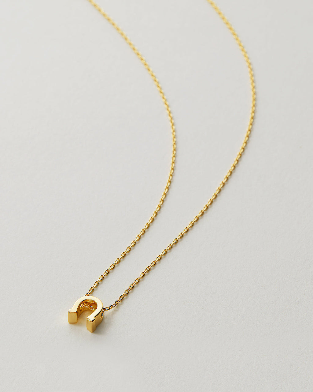Good Luck Icon Necklace