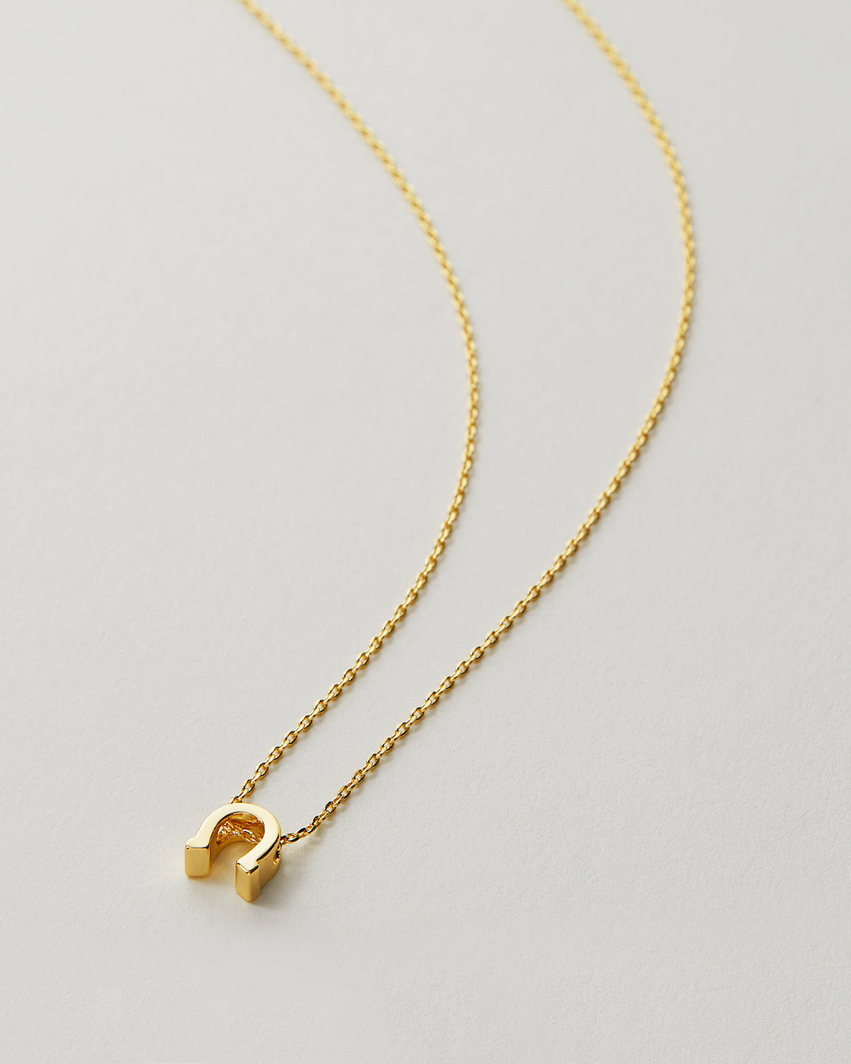 Good Luck Icon Necklace
